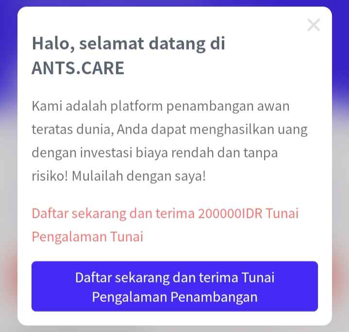 Tampilan Situs Ants.care